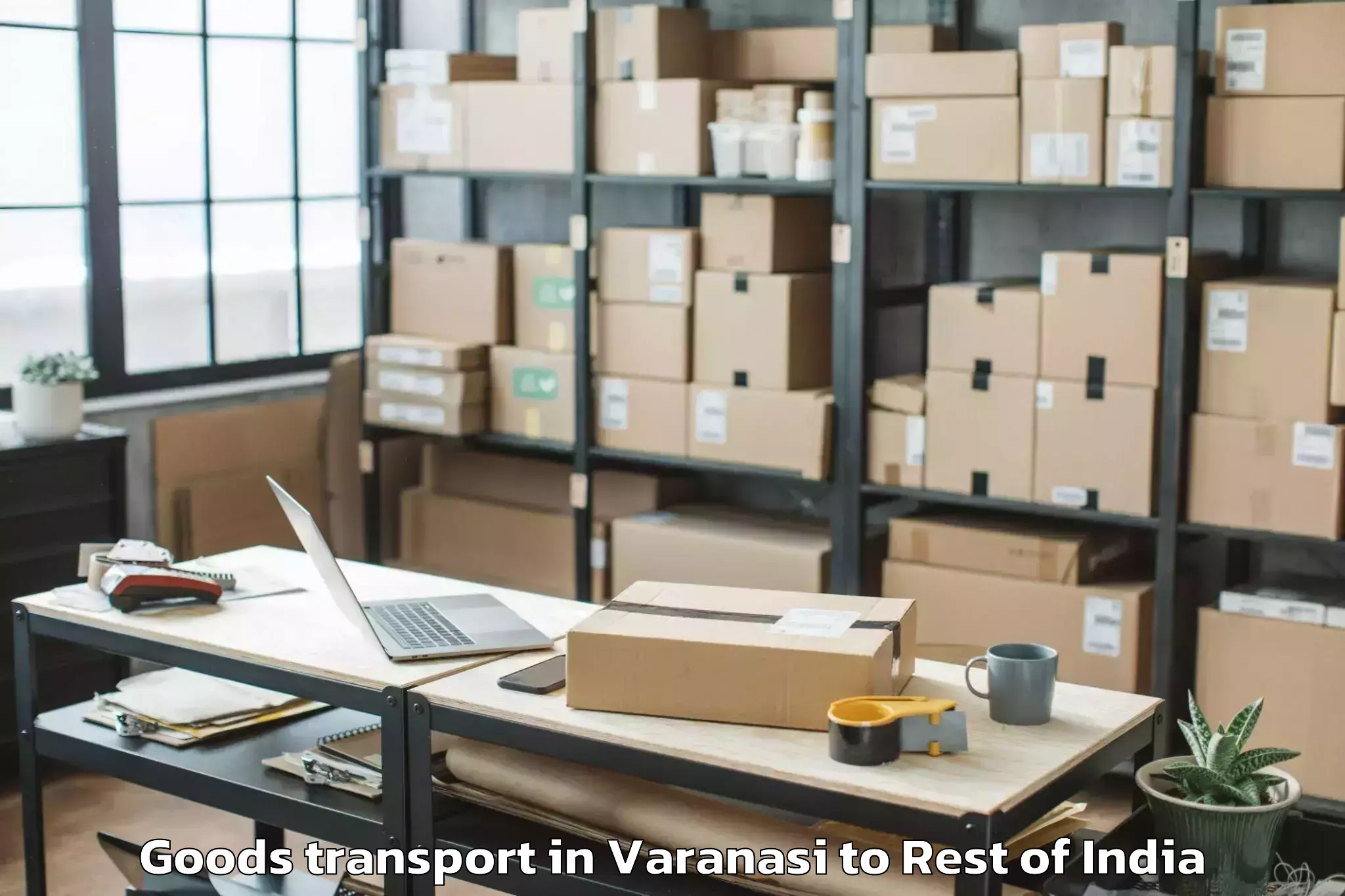 Quality Varanasi to Pizirang Veo Goods Transport